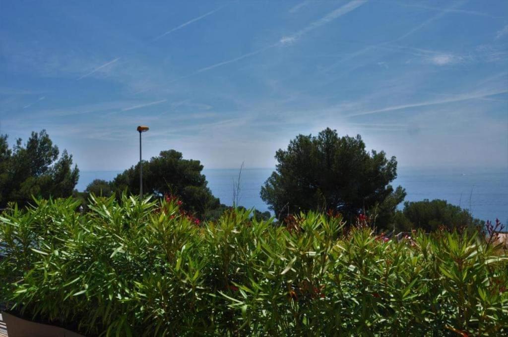 Skyline Apartments Cap-d'Ail Quarto foto